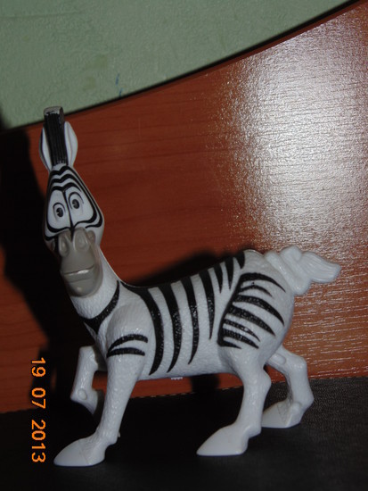 madagaskaro zebras
