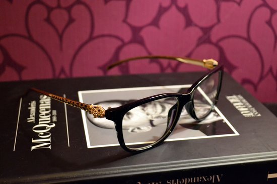Klasikiniai akiniai/akinių remeliai