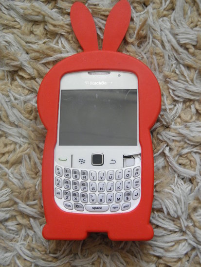 Blackberry Dėkliukas
