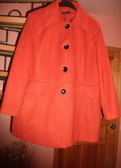 Didelis, labai gražus, ryškus, orandžinis paltukas