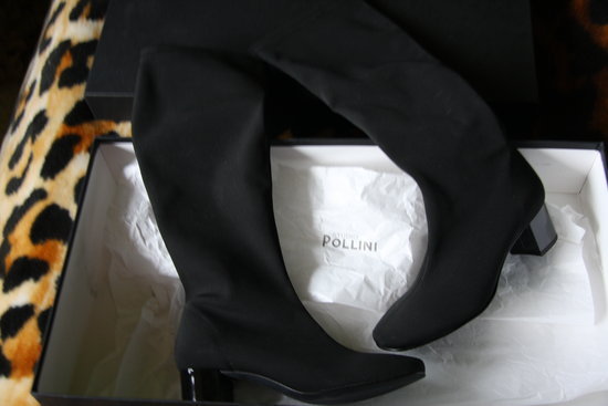 Pollini italiski batai